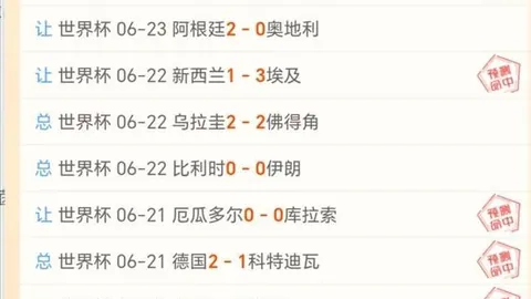 “丙级联赛边裁受伤，球迷紧急替补救援第戎对阵瓦朗谢纳”